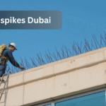 Effective bird spikes Dubai for humane bird control in Dubai & Sharjah. Protect your property from bird damage with expert solutions.